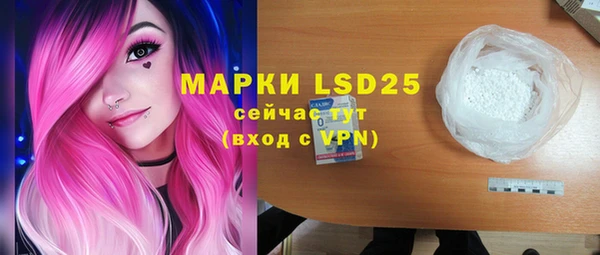 ПСИЛОЦИБИНОВЫЕ ГРИБЫ Вяземский