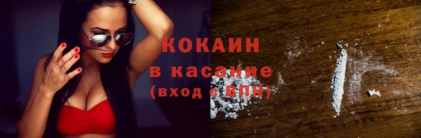 ПСИЛОЦИБИНОВЫЕ ГРИБЫ Вяземский