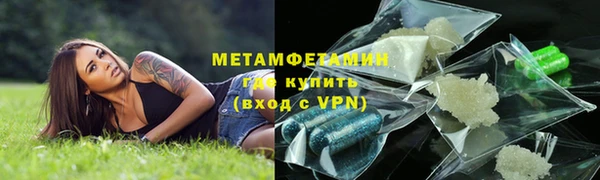 ПСИЛОЦИБИНОВЫЕ ГРИБЫ Вяземский