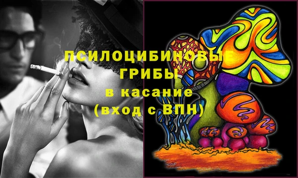 МДПВ Вязьма