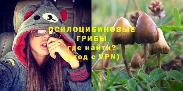 ПСИЛОЦИБИНОВЫЕ ГРИБЫ Вяземский