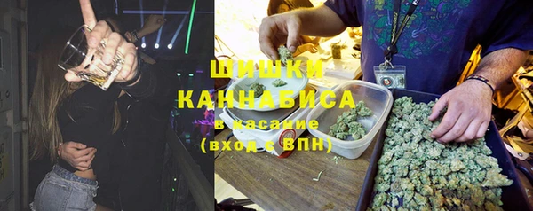 ПСИЛОЦИБИНОВЫЕ ГРИБЫ Вяземский