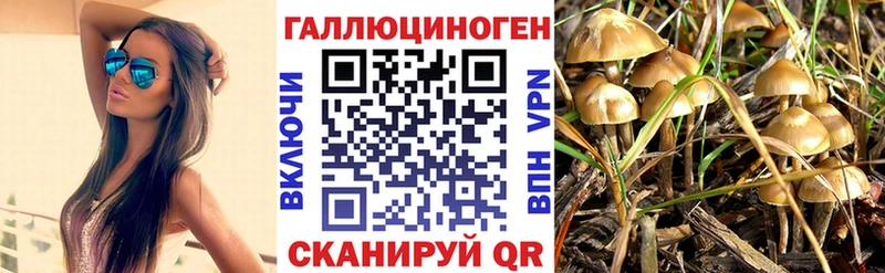 Купить закладки  Новая Ладога  Галлюциногенные грибы MAGIC MUSHROOMS 